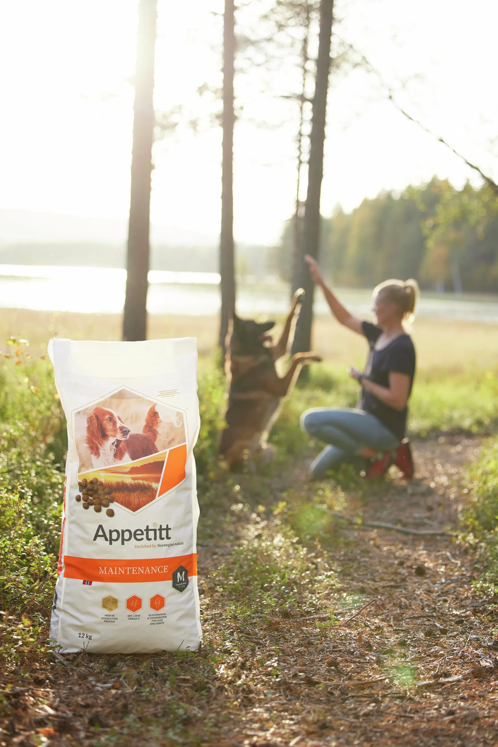Hundfoder Maintenance Medium 12kg>Appetitt Best