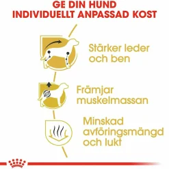 Hundfoder Dachshund Adult 7,5kg>Royal Canin Outlet