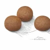 Hundfoder Maxi Digestive Care 12kg>Royal Canin Clearance