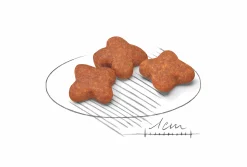 Hundfoder Mini Adult 8+ 2kg>Royal Canin Online