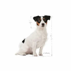 Hundfoder Mini Adult 8+ 2kg><noscript><img width=