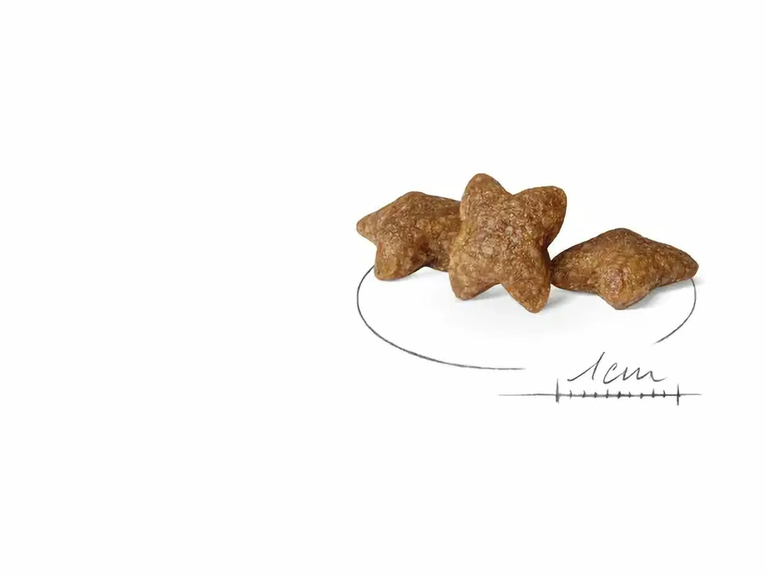 Hundfoder Mini Adult>Royal Canin New