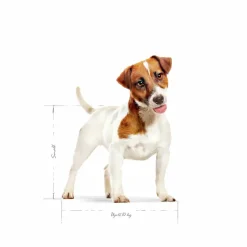 Hundfoder Mini Adult><noscript><img width=