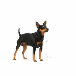 Hundfoder Mini Digestive Care 3kg><noscript><img width=