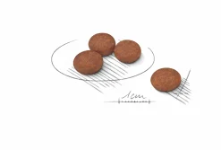 Hundfoder Mini Digestive Care 3kg><noscript><img width=