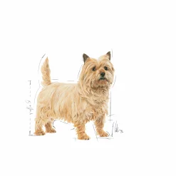 Hundfoder Mini Light Weight Care 3kg><noscript><img width=