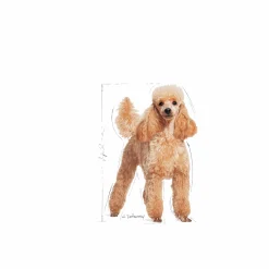 Hundfoder Poodle Adult 7,5kg><noscript><img width=