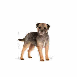 Hundfoder Sterilised Mini Adult 3kg><noscript><img width=