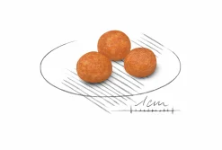 Hundfoder X-Small Adult 1,5kg><noscript><img width=