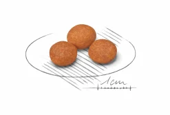 Hundfoder X-Small Adult 8+ 1,5kg>Royal Canin Online