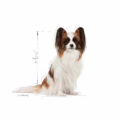 Hundfoder X-Small Adult 8+ 1,5kg><noscript><img width=