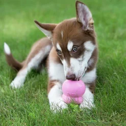 Hundgodis Easy Treat Puppy Pastej Leversmak 236ml><noscript><img width=