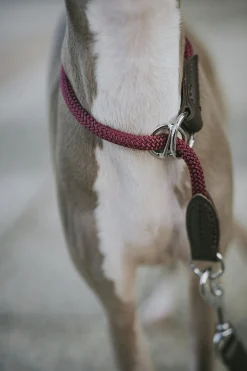 Hundhalsband Freestyle Halvstryp><noscript><img width=