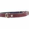 Hundhalsband Läder Brun 55cm>Pritax Discount