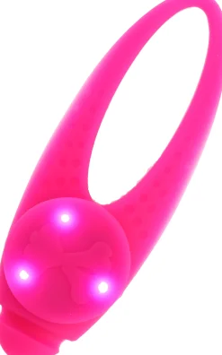 Hundlampa Basic LED><noscript><img width=
