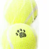 Hundleksak Tennisboll 6,5cm 3-p>Active Canis Sale