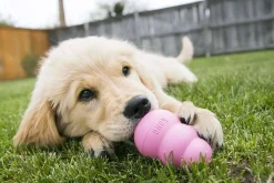 Hundleksak Puppy Blandade färger M><noscript><img width=