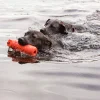 Hundleksak Training Dummy Orange L>Kong Online