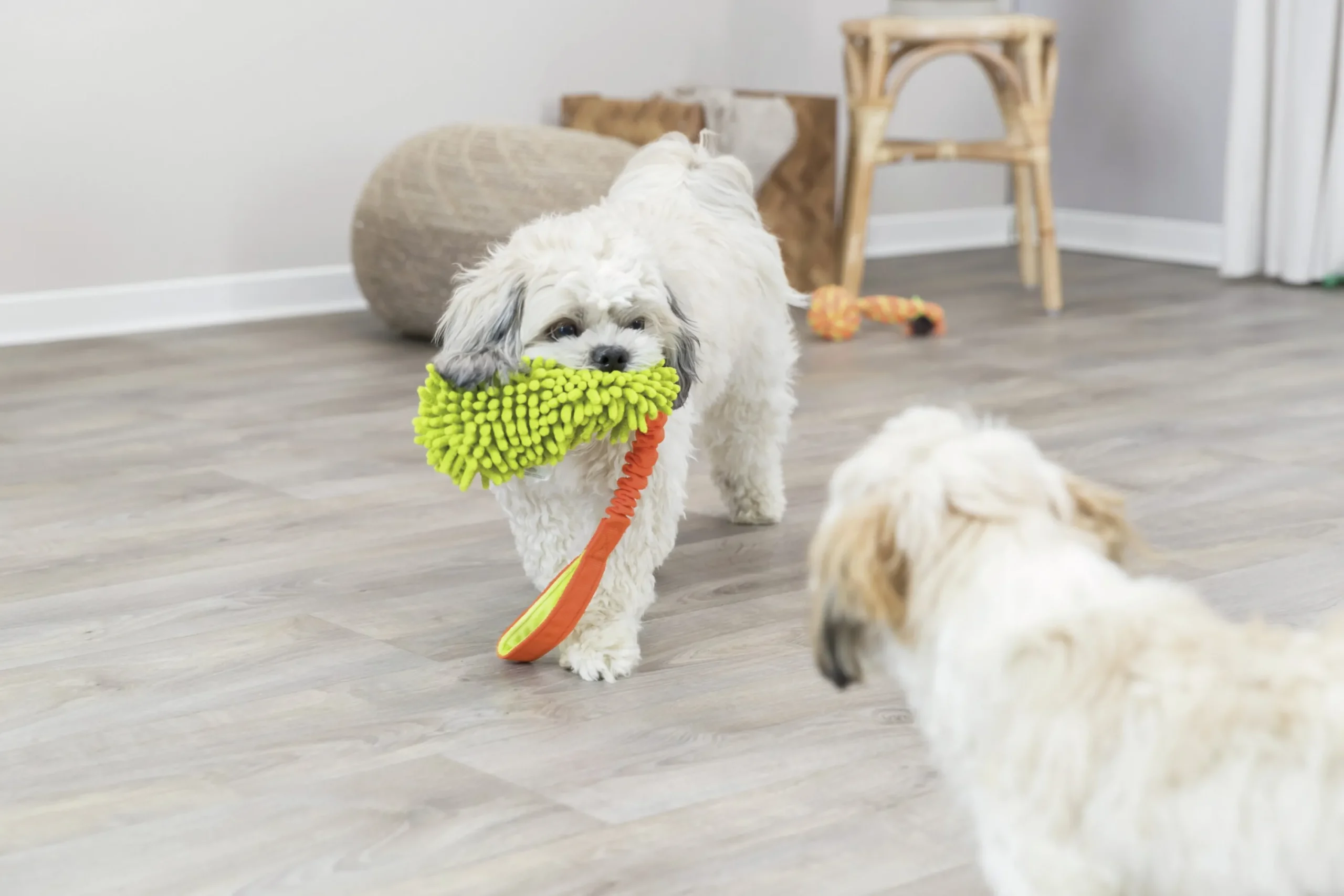 Hundleksak Bungee Dummy handtag Blandade färger 47cm>Trixie Clearance