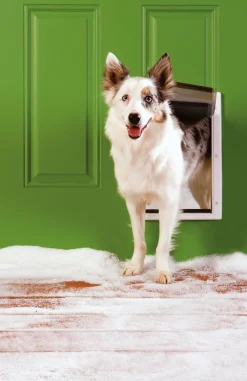 Hundlucka Extreme Weather Vit M><noscript><img width=