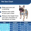 Hundlucka Staywell Aluminium XL>Petsafe Discount