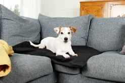 Hundmadrass Travel Outdoor>Bia bed Best