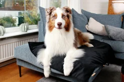 Hundmadrass Travel Outdoor><noscript><img width=