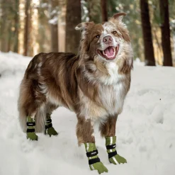 Hundko Haa Refex Grön 4p><noscript><img width=