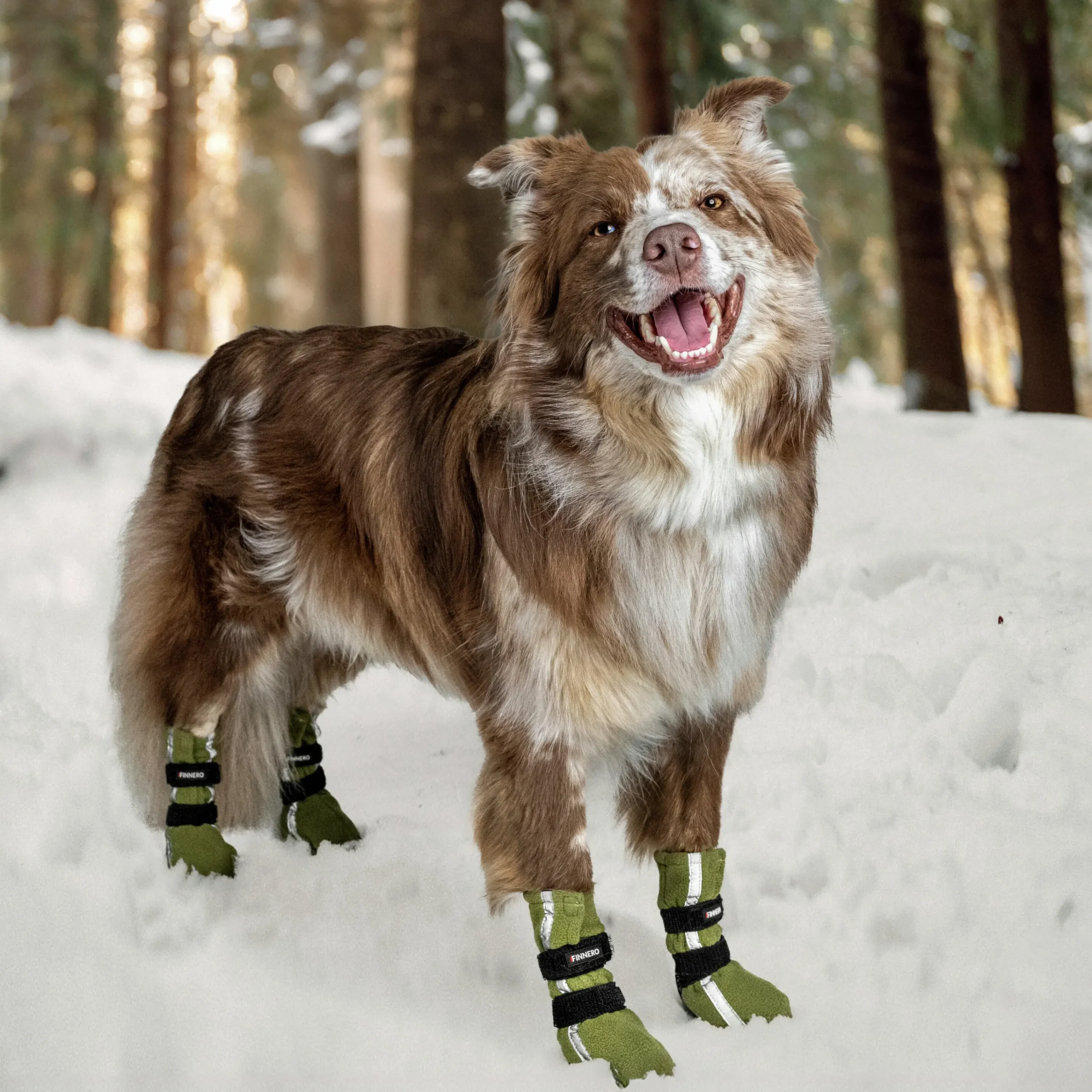 Hundko Haa Refex Grön 4p>Finnero Clearance