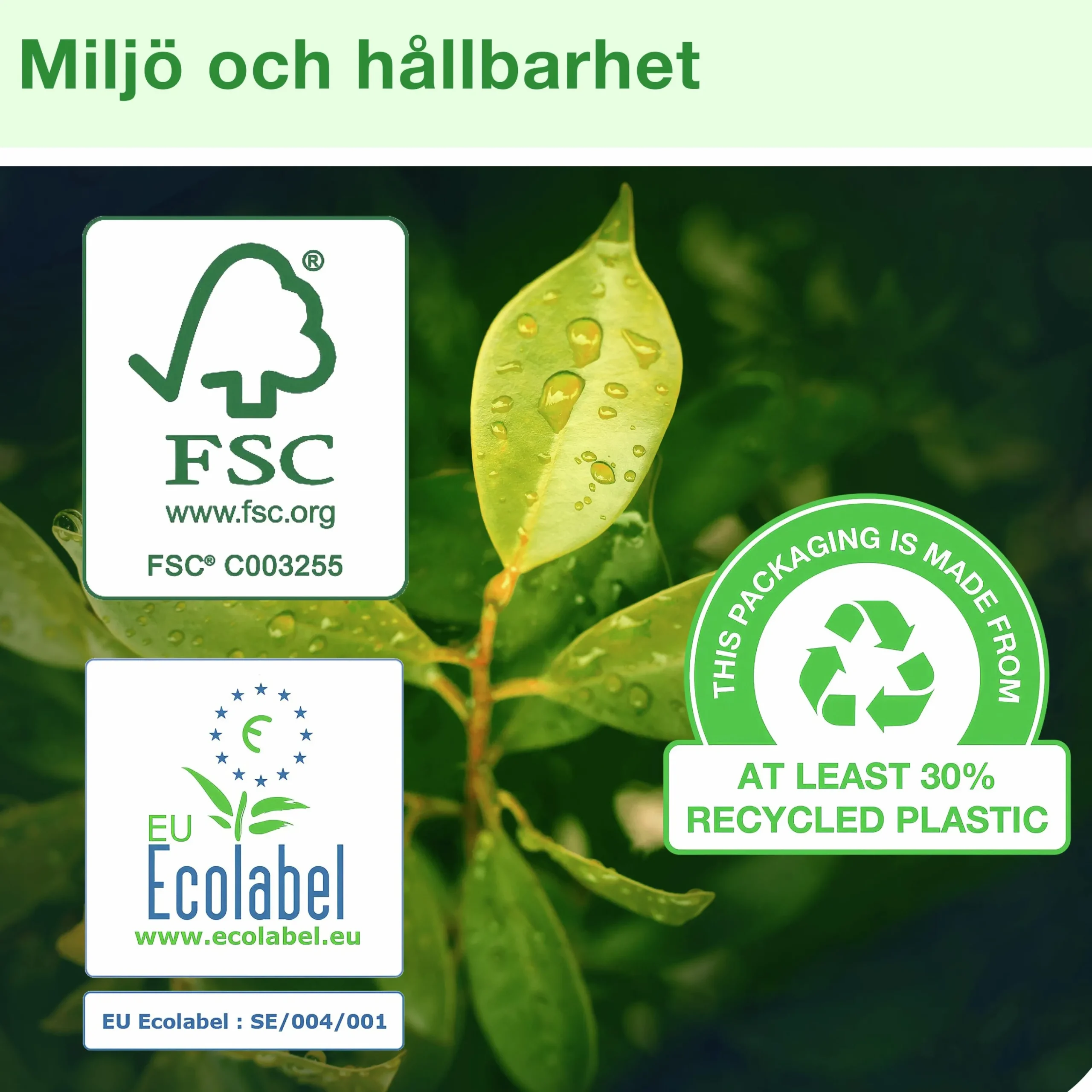 Hushållspapper Basic 2-lagers 32 rullar x 26 m (120223)>Tork Outlet