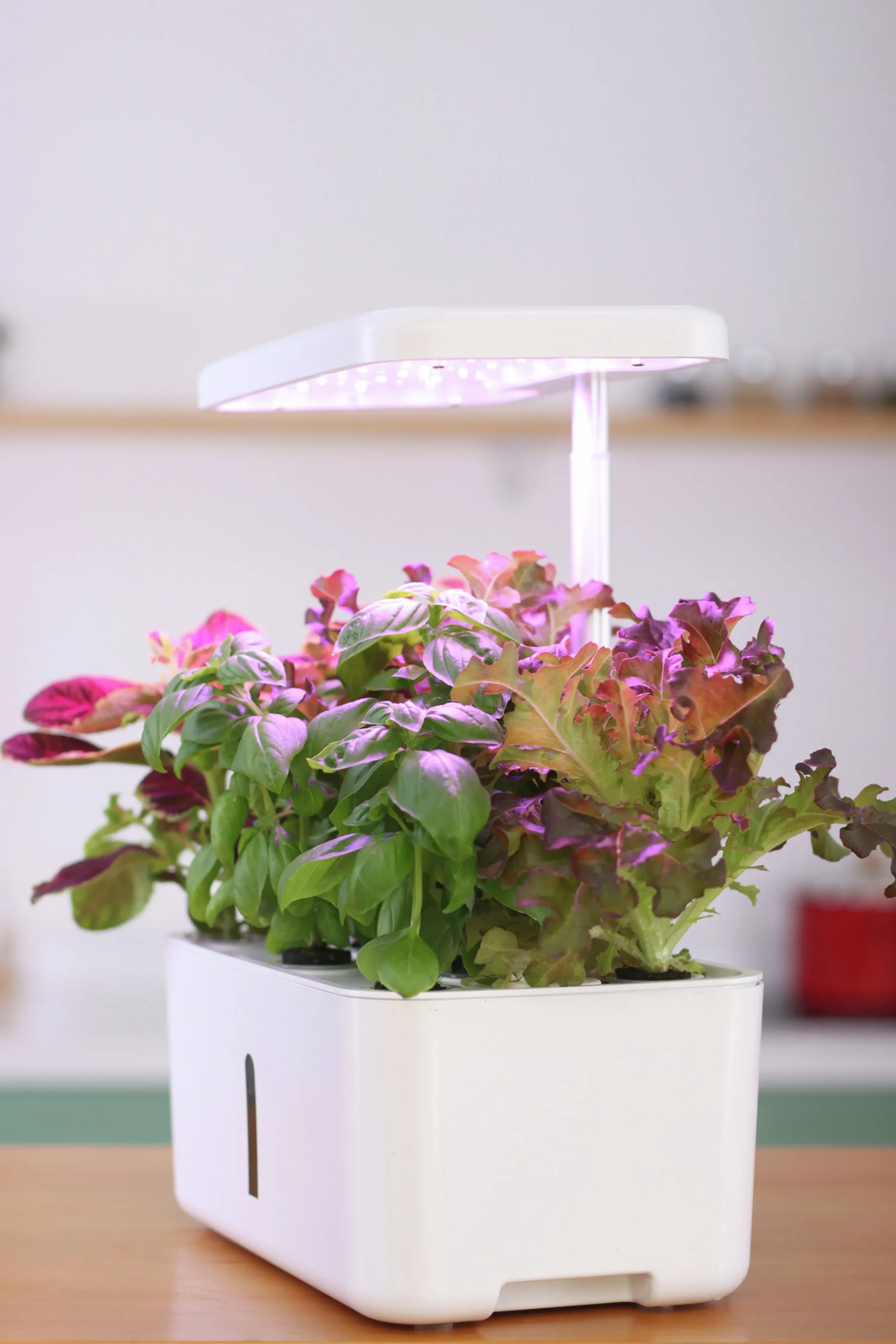 Hydroponik odling Urban Growing Odlinget>GreenLine New