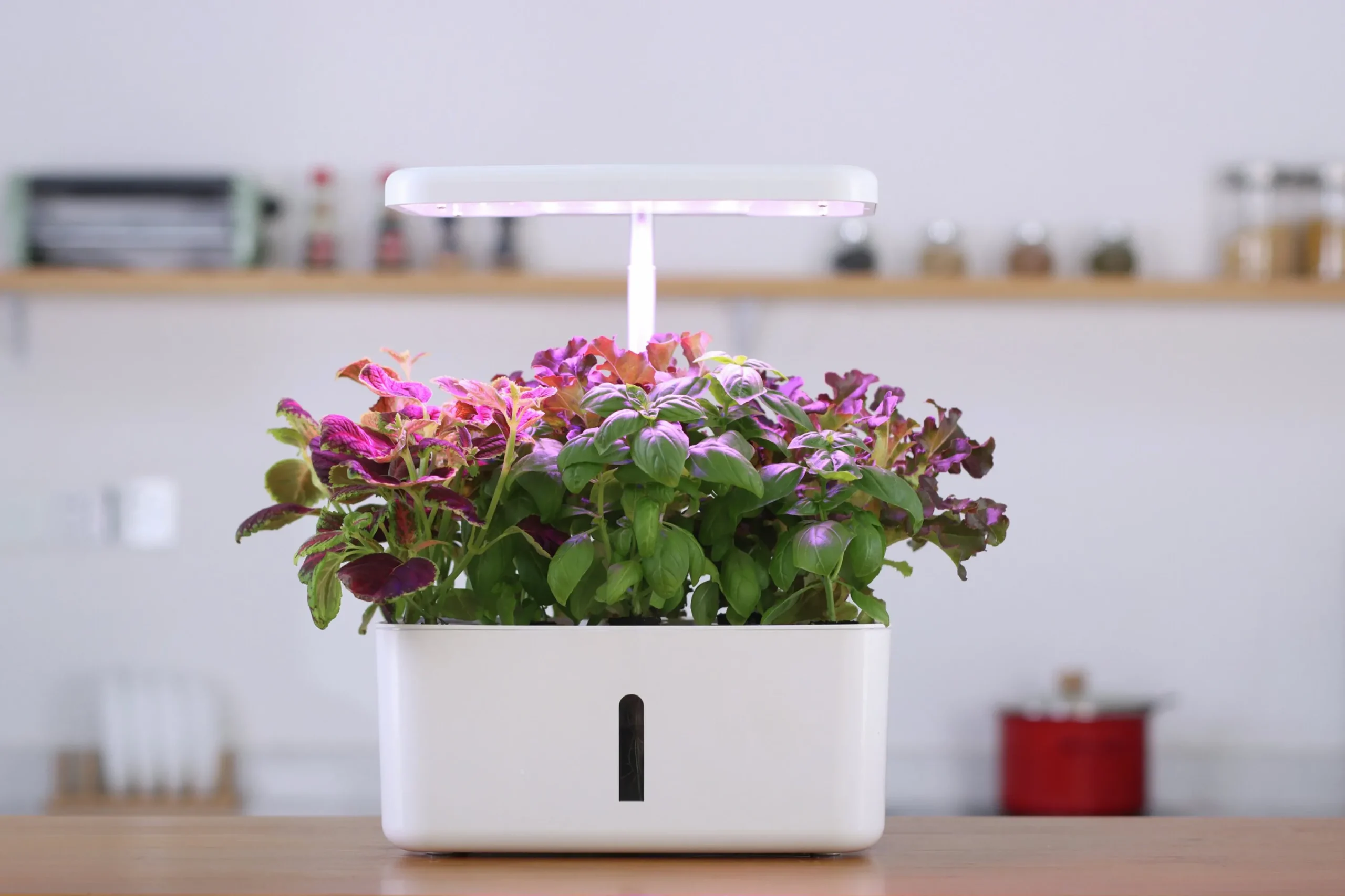 Hydroponik odling Urban Growing Odlinget>GreenLine New