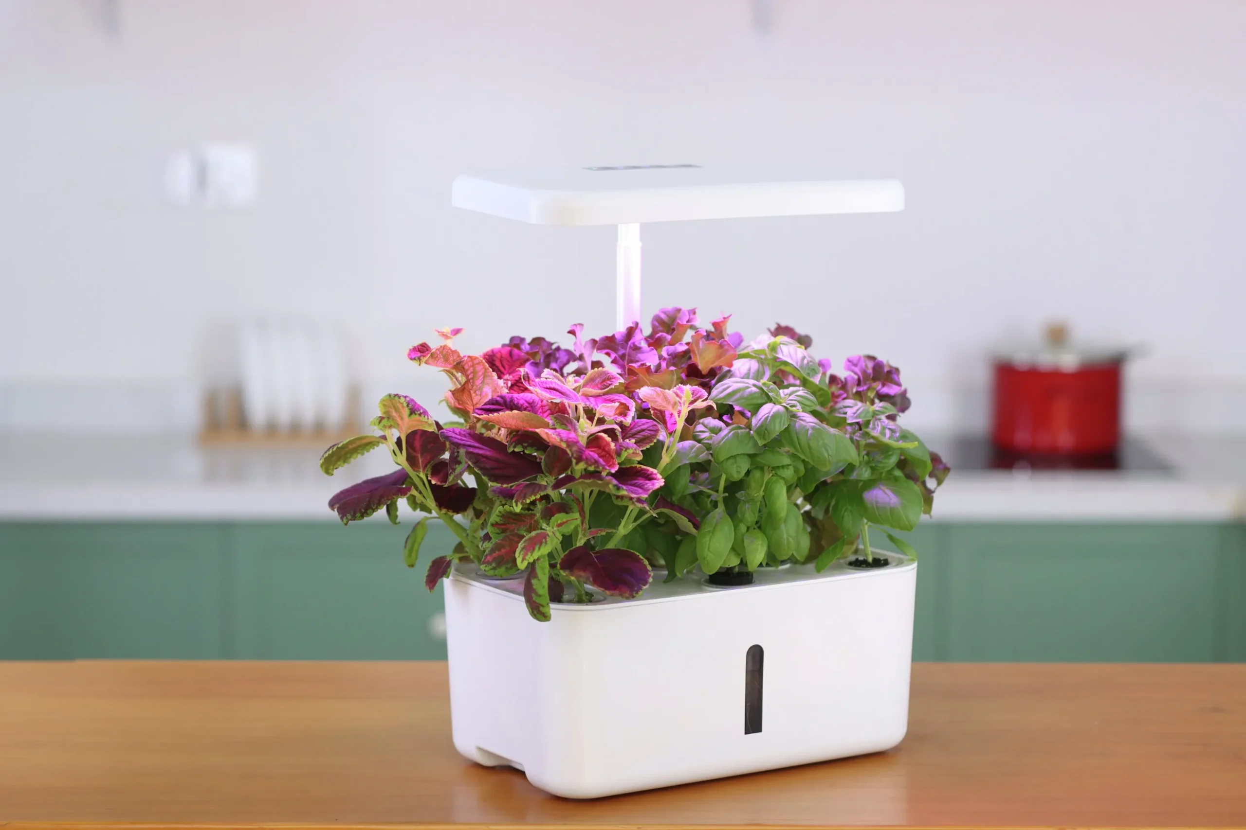 Hydroponik odling Urban Growing Odlinget>GreenLine New