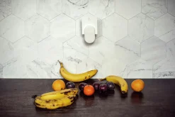 Insekts- och Bananflugefälla DOT>DynaTrap Outlet