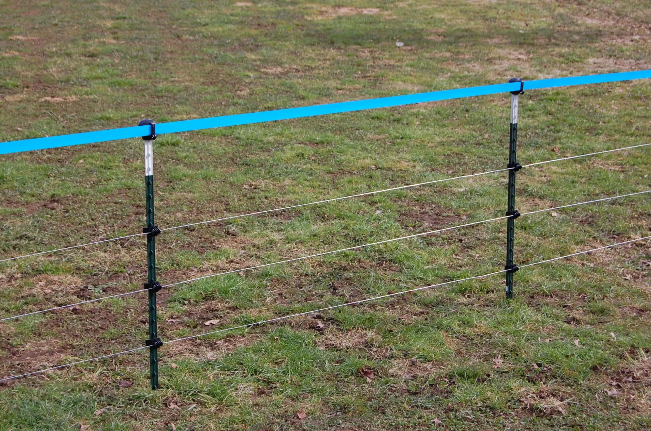 Isolator till T-stolpe för vildsvin 25-p>Kerbl