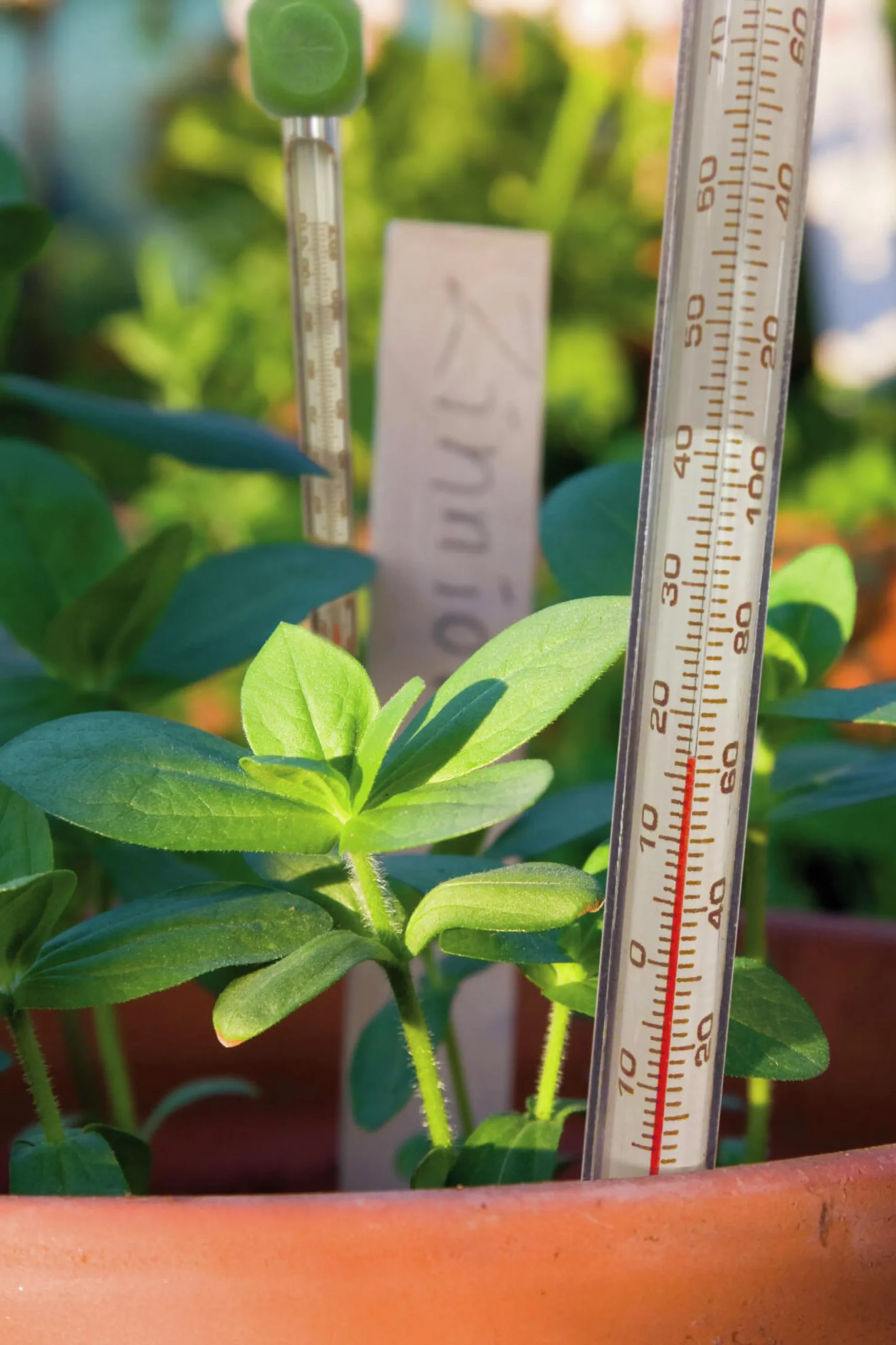 Jordtermometer PlantStart>Nelson Garden