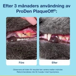 Kattgodis PlaqueOff Dental Bites 60g><noscript><img width=