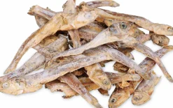 Kattgodis Torkad Fisk 50g>Trixie New