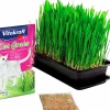 Kattgräs frön Refill 50g>Vitakraft Online