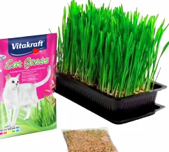 Kattgräs frön Refill 50g>Vitakraft Online