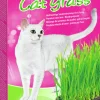 Kattgräs 120g>Vitakraft Online