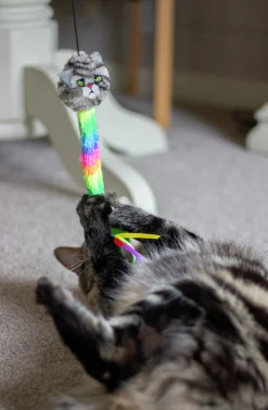 Kattleksak Kattspö Rainbow>Rosewood Discount