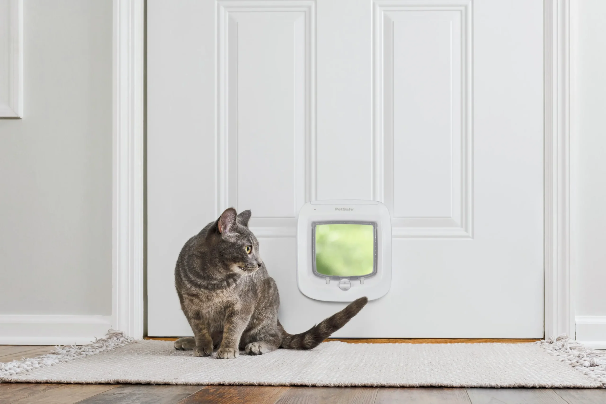 Kattlucka Cat Microchip Vit>Petsafe Clearance