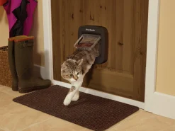 Kattlucka Microchip Brun><noscript><img width=