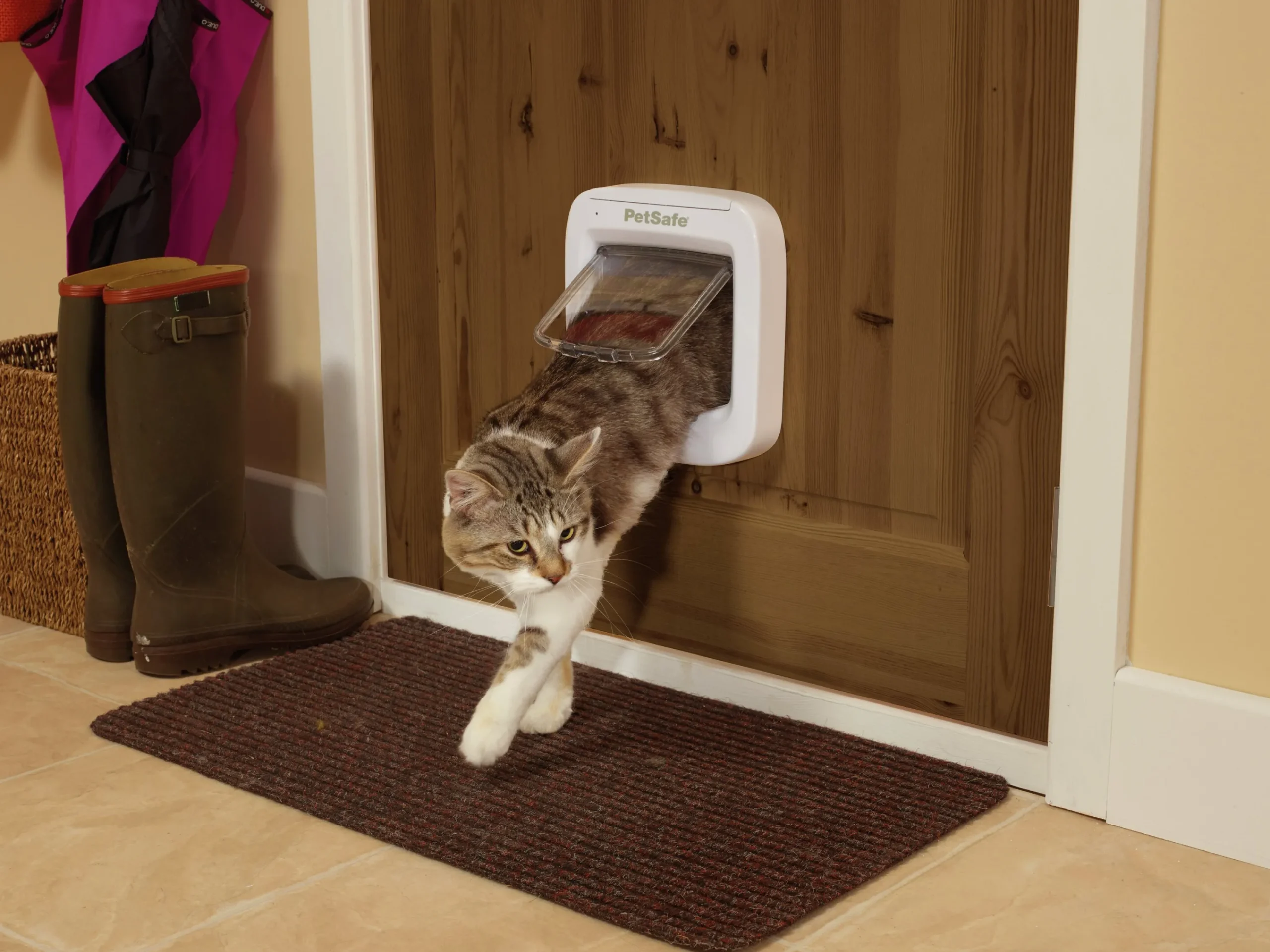 Kattlucka Microchip Vit>Petsafe Outlet