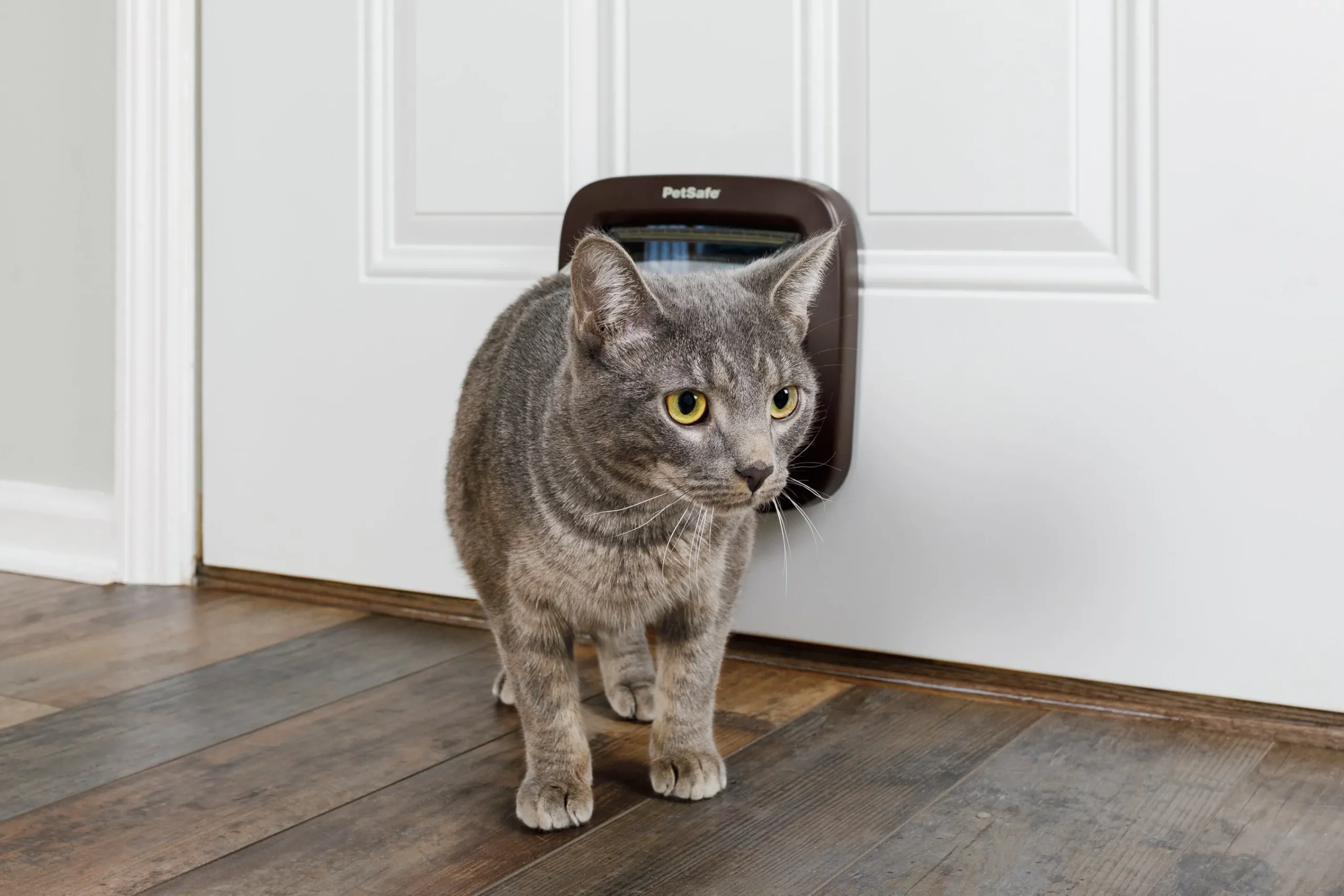 Kattlucka 919 4-vägs Brun>Petsafe New