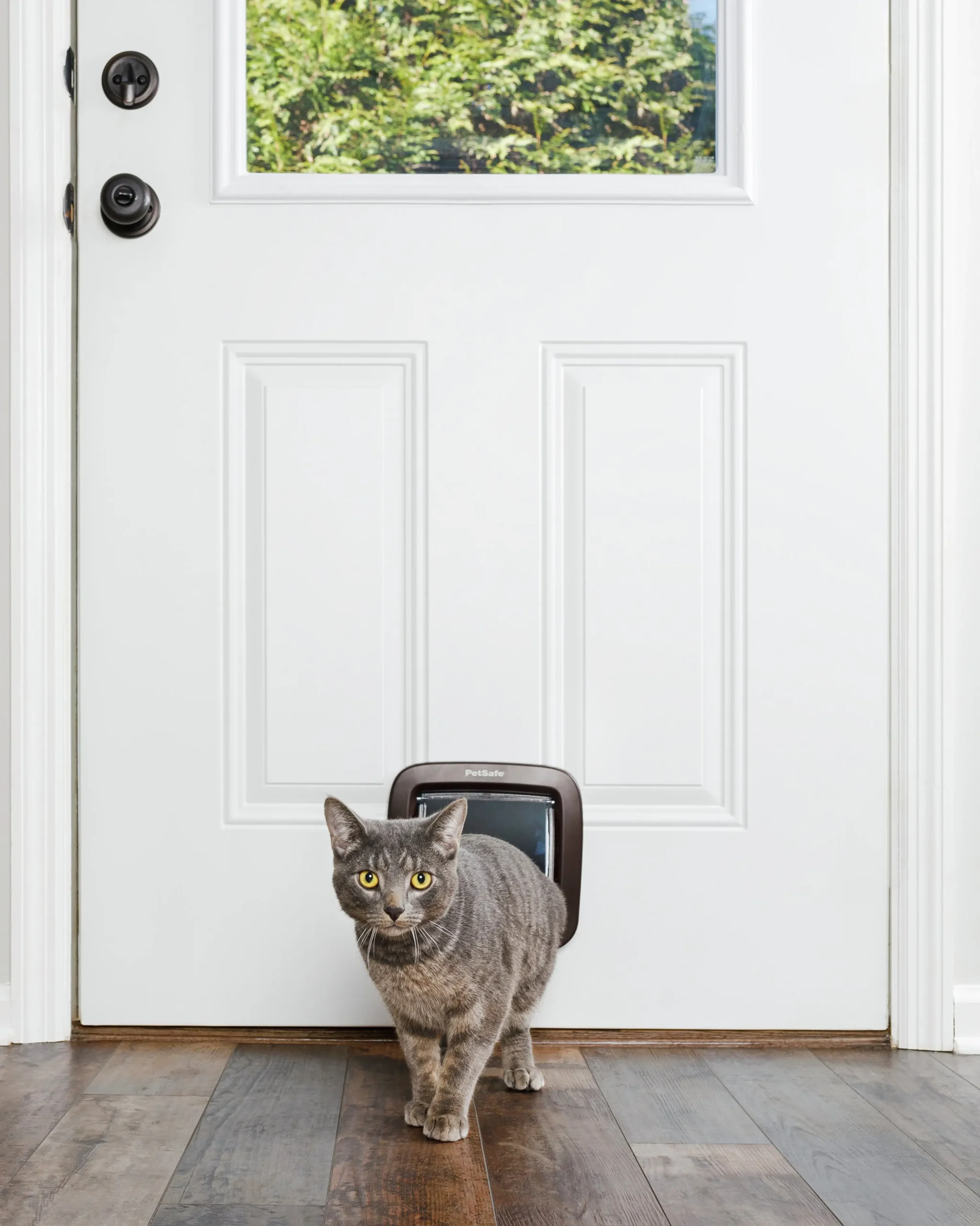 Kattlucka 919 4-vägs Brun>Petsafe New