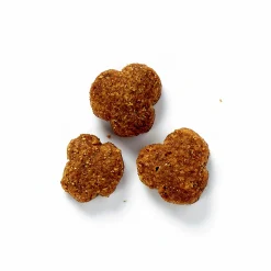 Kattmat Adult Lax 13kg><noscript><img width=