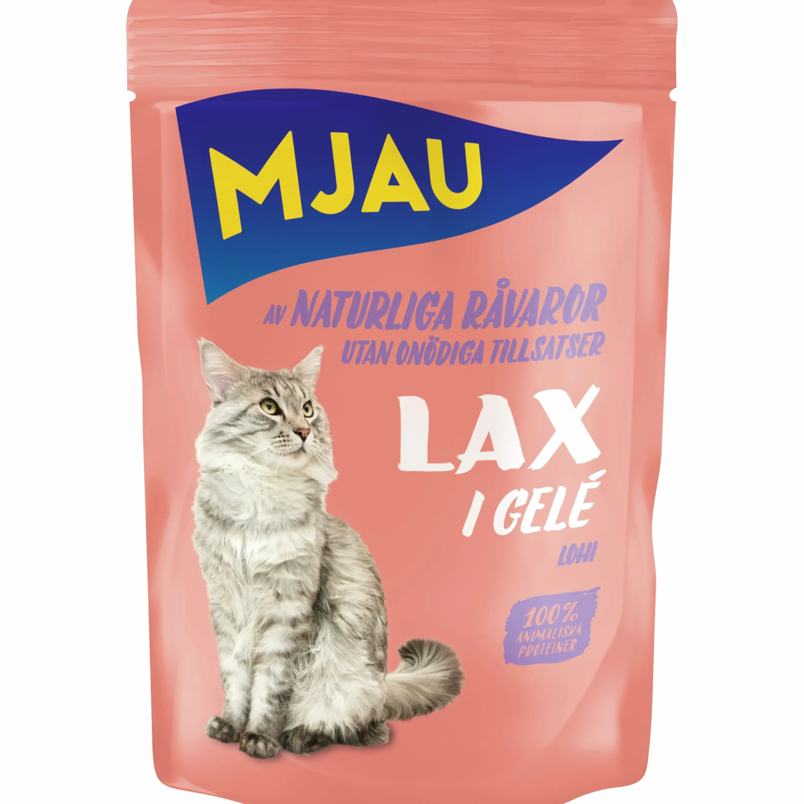 Kattmat Adult Megabox Kött/Fisk i gelé 48x85g>Mjau New