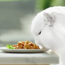 Kattmat Gourmet Perle Delight Menybox i sås 8x85g><noscript><img width=